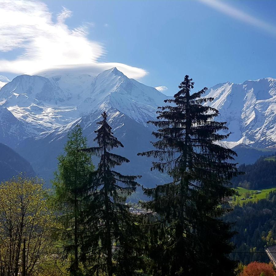 Gervais Les Bains Vue Imprenable Mont Blanc * Saint-Gervais-les-Bains