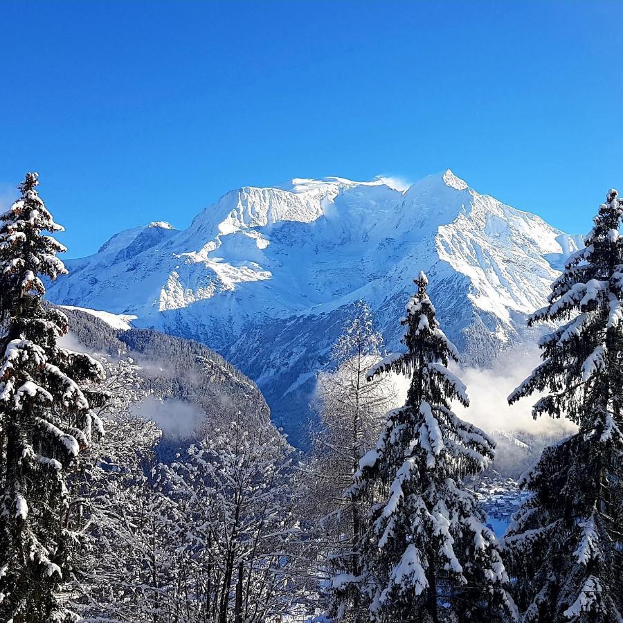 Gervais Les Bains Vue Imprenable Mont Blanc Apartment Saint-Gervais-les-Bains